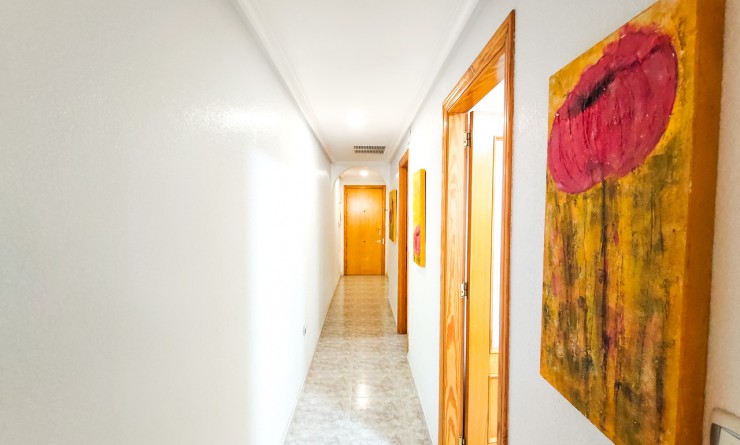 Revente - Appartement - Guardamar del Segura - guardamar del segura