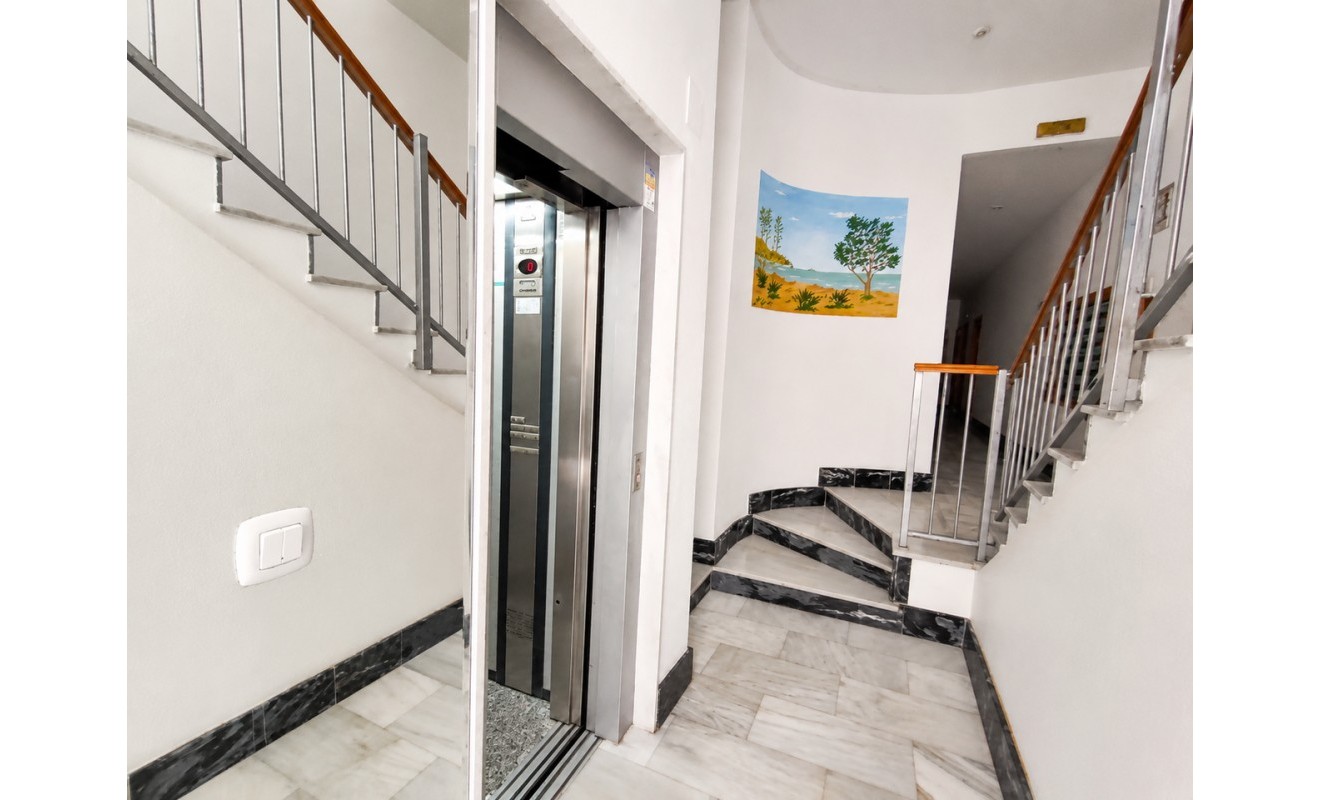 Revente - Appartement - Guardamar del Segura - guardamar del segura