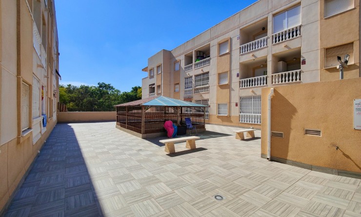 Wederverkoop - Appartement - Torrevieja - Nueva Torrevieja