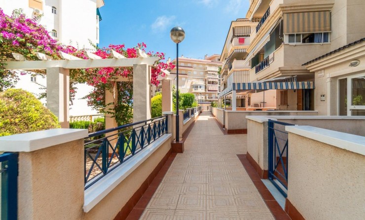 Long time Rental - Flat - Torrevieja - La Mata