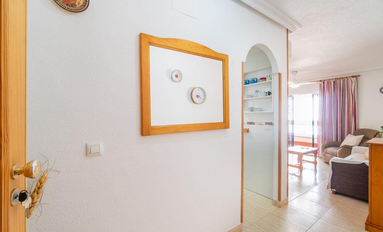 Long time Rental - Flat - Torrevieja - La Mata