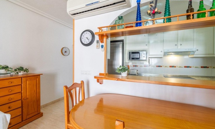 Long time Rental - Flat - Torrevieja - La Mata