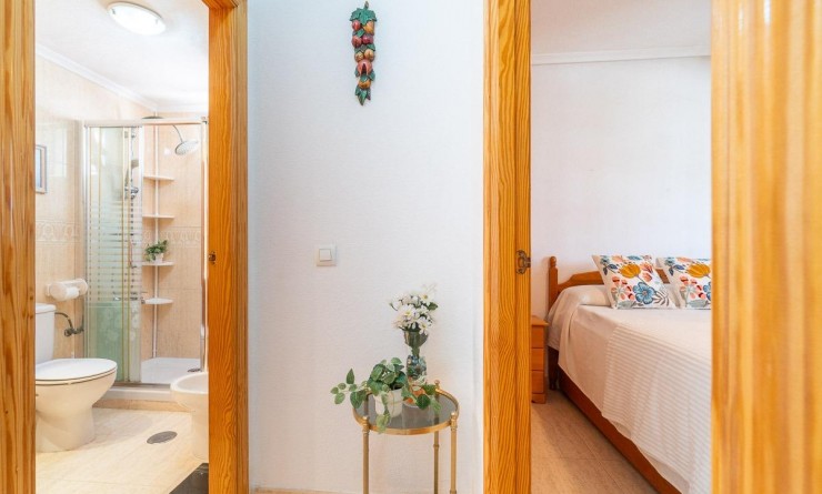 Long time Rental - Flat - Torrevieja - La Mata