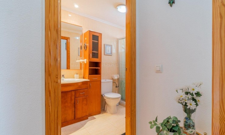 Long time Rental - Flat - Torrevieja - La Mata
