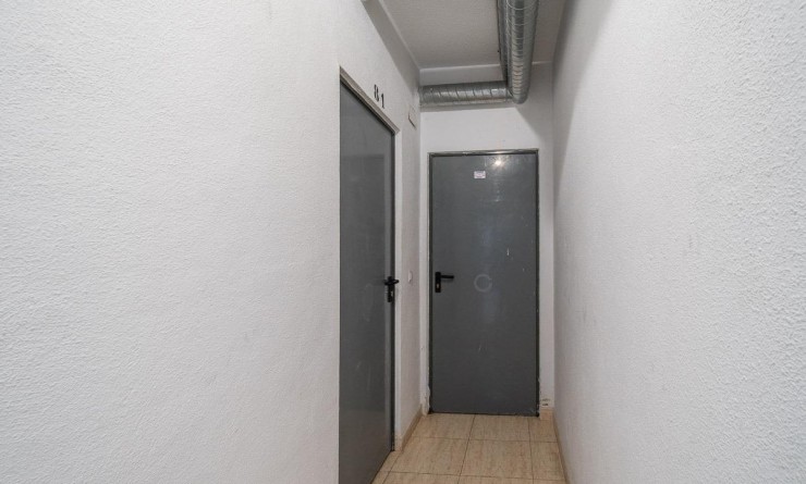 Long time Rental - Flat - Torrevieja - La Mata