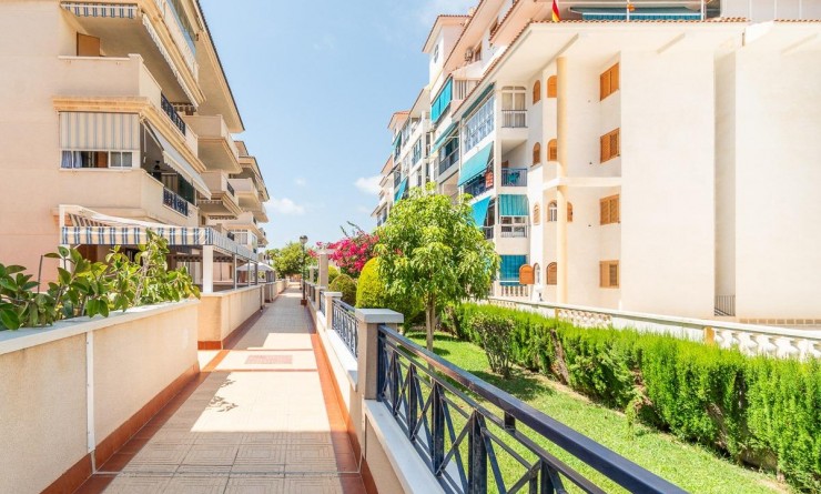 Long time Rental - Flat - Torrevieja - La Mata