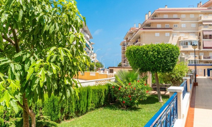 Long time Rental - Flat - Torrevieja - La Mata