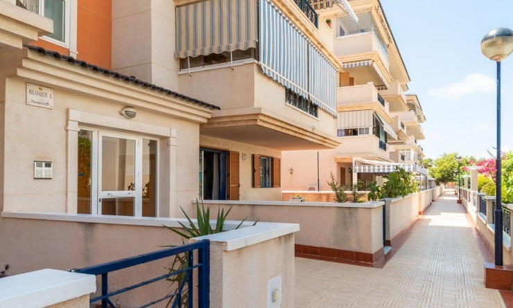 Long time Rental - Flat - Torrevieja - La Mata