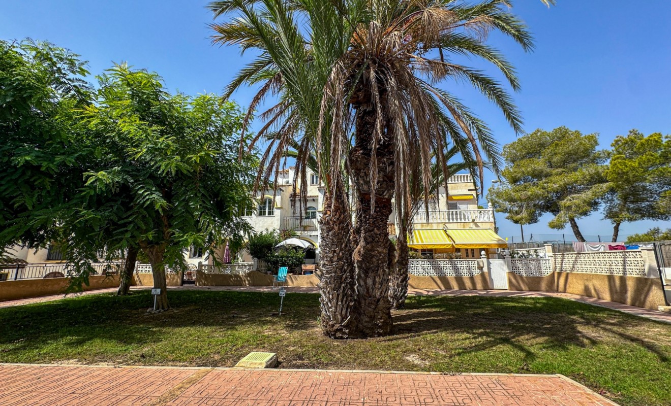 Wederverkoop - Bungalow - San Miguel de Salinas - Bellavista
