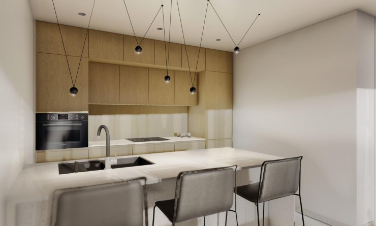 Nouvelle construction - Appartement - Guardamar del Segura - EL RASO