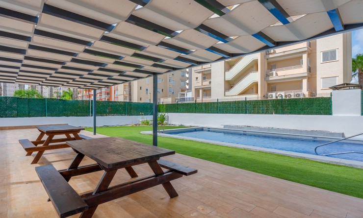 Wederverkoop - Apartments - Guardamar del Segura - Guardamar