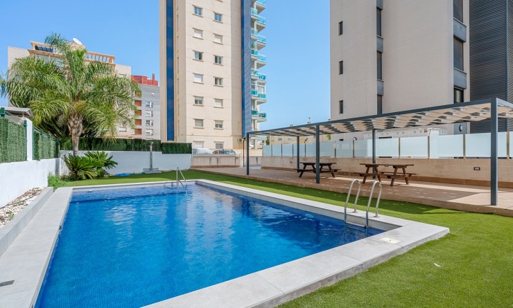 Wederverkoop - Apartments - Guardamar del Segura - Guardamar