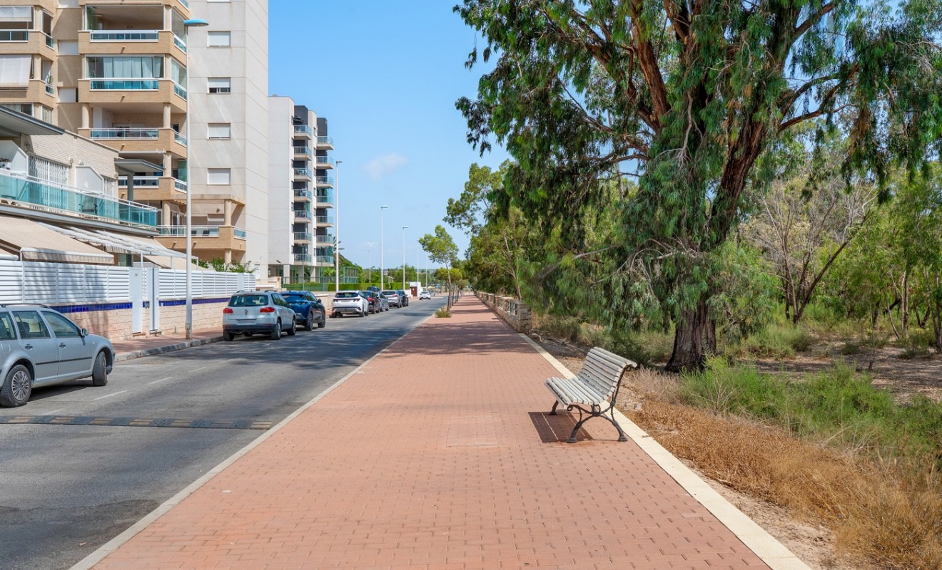 Wederverkoop - Apartments - Guardamar del Segura - Guardamar