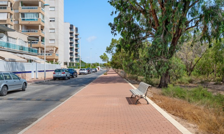 Wederverkoop - Apartments - Guardamar del Segura - Guardamar
