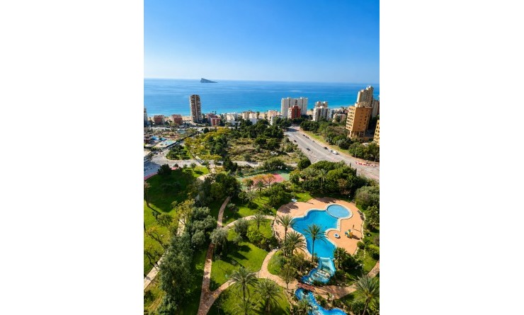 Wederverkoop - Apartment / flat - Benidorm - Zona de Poniente