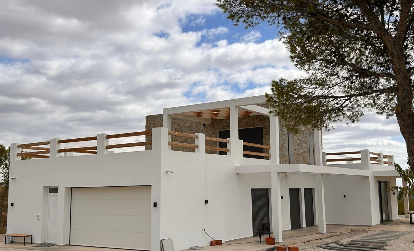 Nieuwbouw woningen - Villa - Pinoso - Casas Pastor