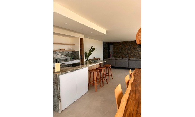 Nieuwbouw woningen - Villa - Pinoso - Casas Pastor