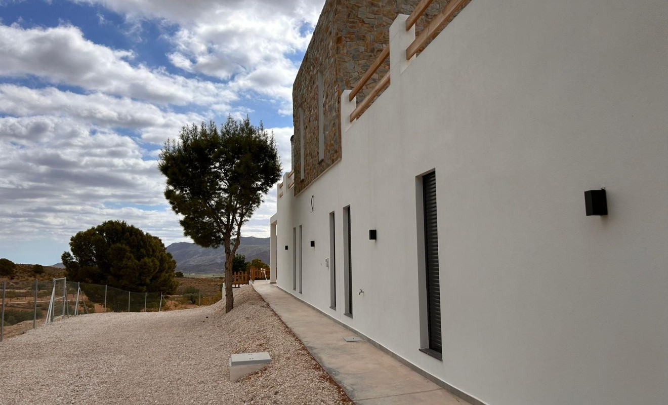 Nieuwbouw woningen - Villa - Pinoso - Casas Pastor
