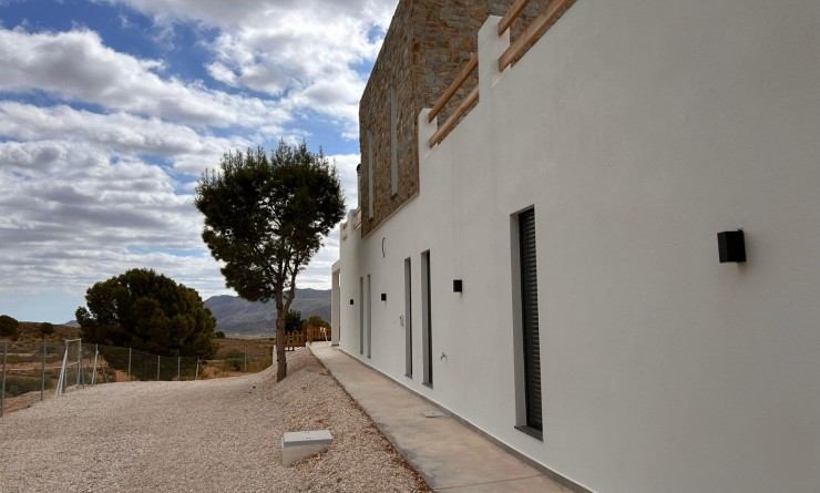 Nieuwbouw woningen - Villa - Pinoso - Casas Pastor