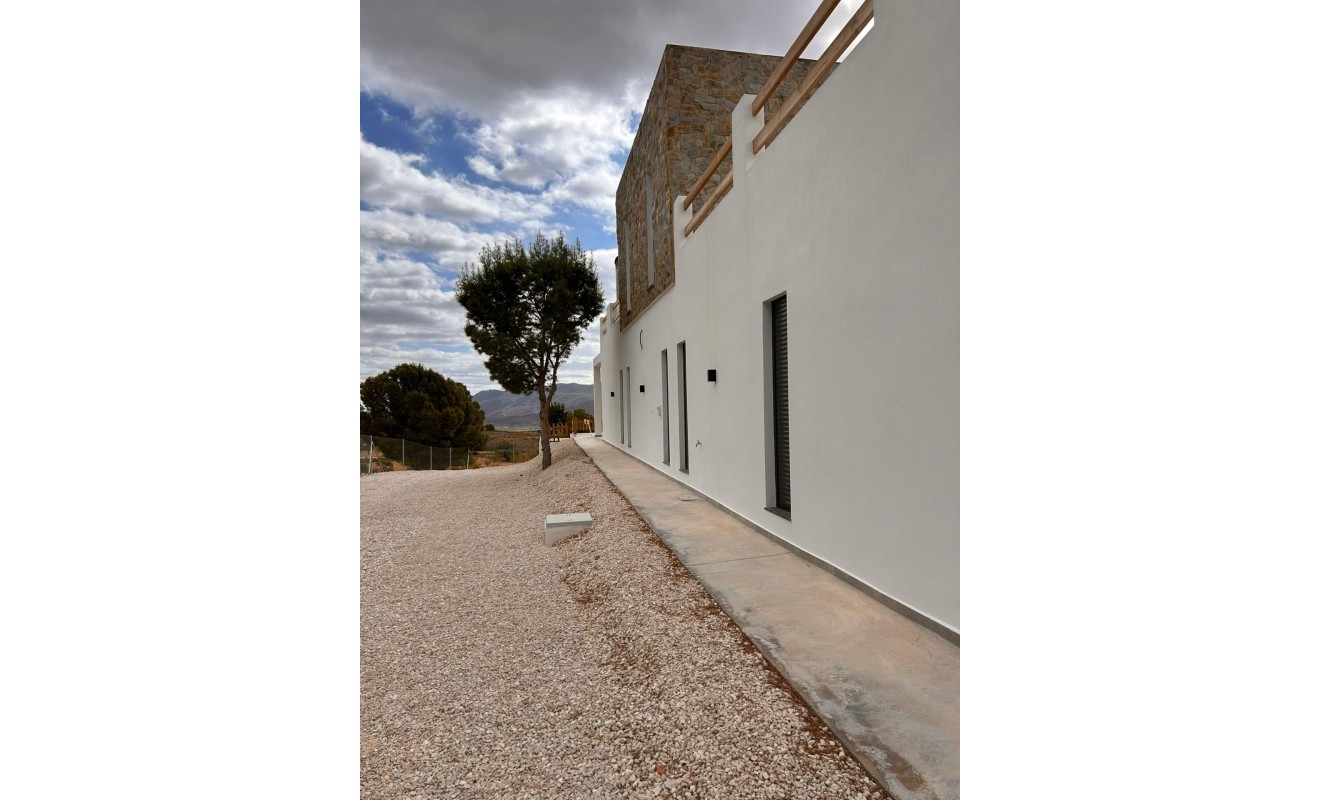 Nieuwbouw woningen - Villa - Pinoso - Casas Pastor