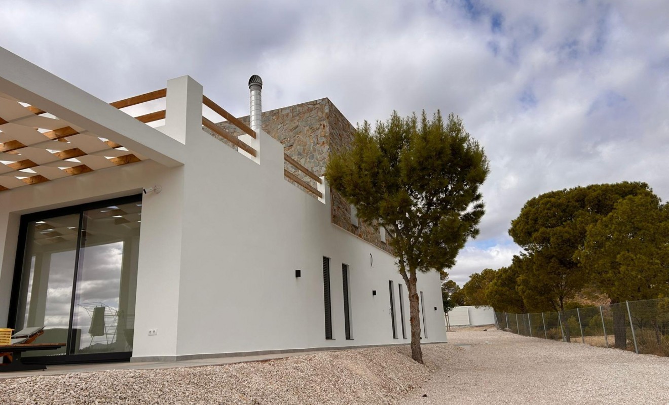 Nieuwbouw woningen - Villa - Pinoso - Casas Pastor