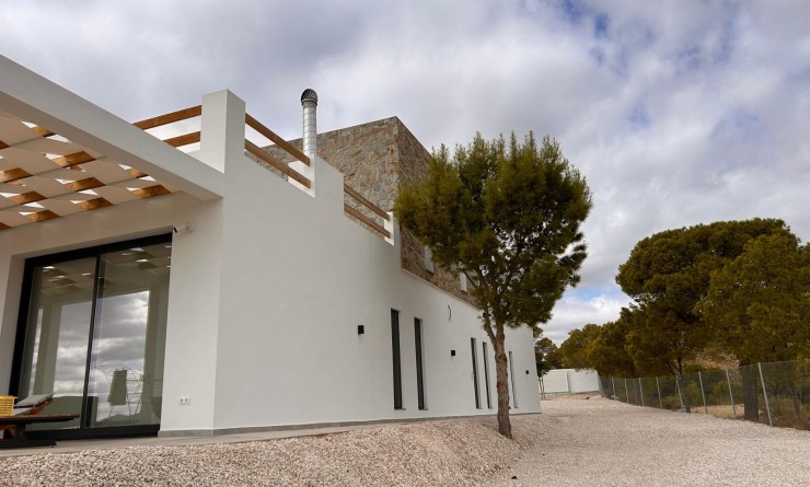 Nieuwbouw woningen - Villa - Pinoso - Casas Pastor