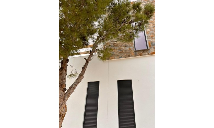 Nieuwbouw woningen - Villa - Pinoso - Casas Pastor
