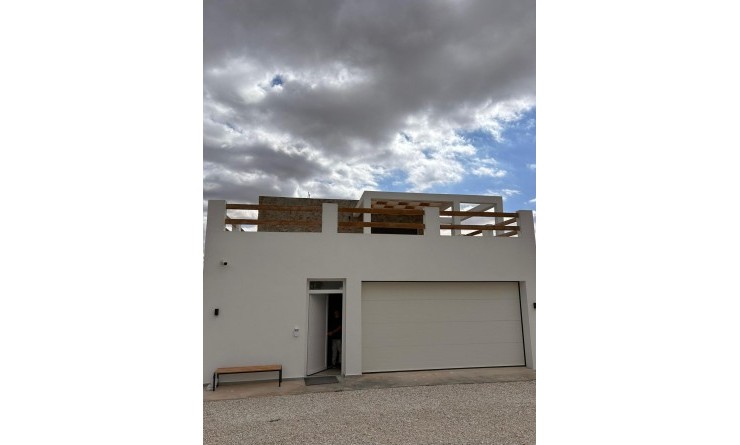 Nieuwbouw woningen - Villa - Pinoso - Casas Pastor
