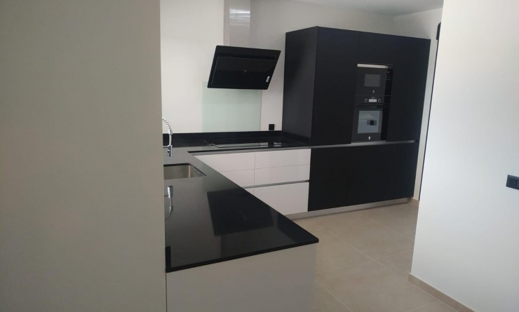Nieuwbouw woningen - Villa - Pinoso - Casas Pastor