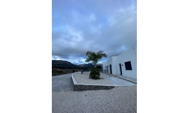 Nieuwbouw woningen - Villa - Pinoso - Casas Pastor