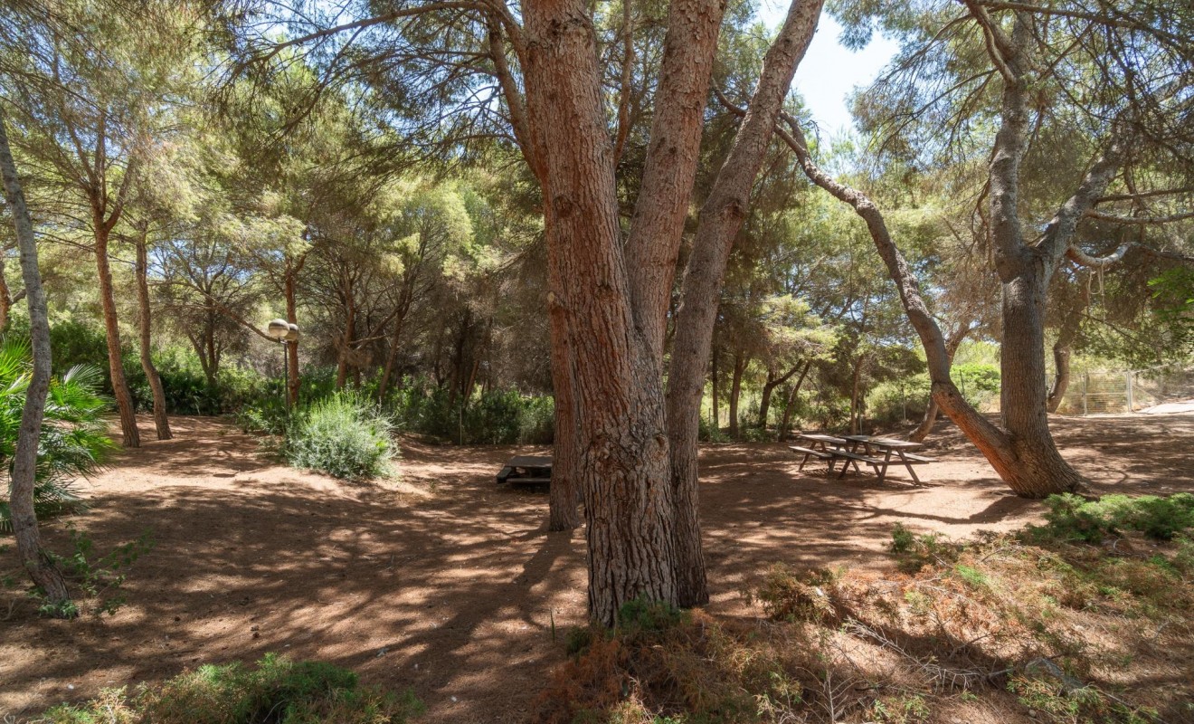 Wederverkoop - Appartement - Orihuela Costa - Altos de Campoamor