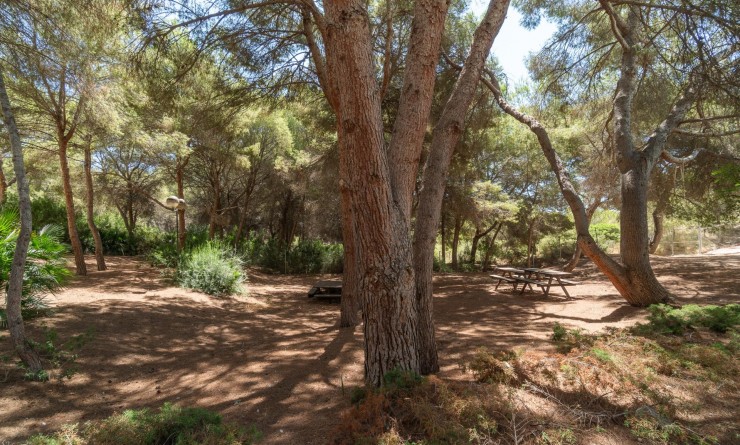 Wederverkoop - Appartement - Orihuela Costa - Altos de Campoamor