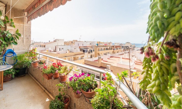 Wederverkoop - Appartement - Torrevieja - Curva del Palangre
