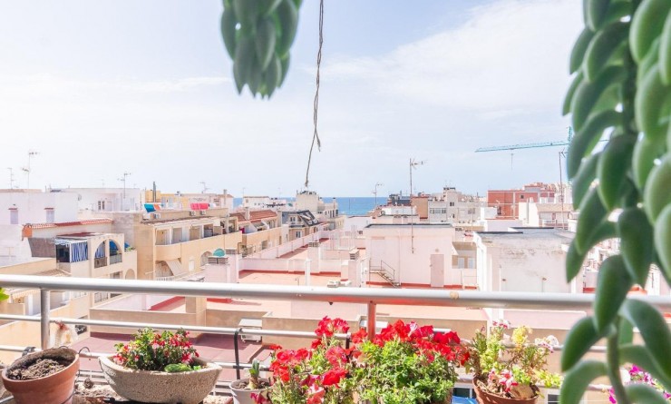 Wederverkoop - Appartement - Torrevieja - Curva del Palangre