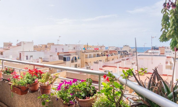 Wederverkoop - Appartement - Torrevieja - Curva del Palangre