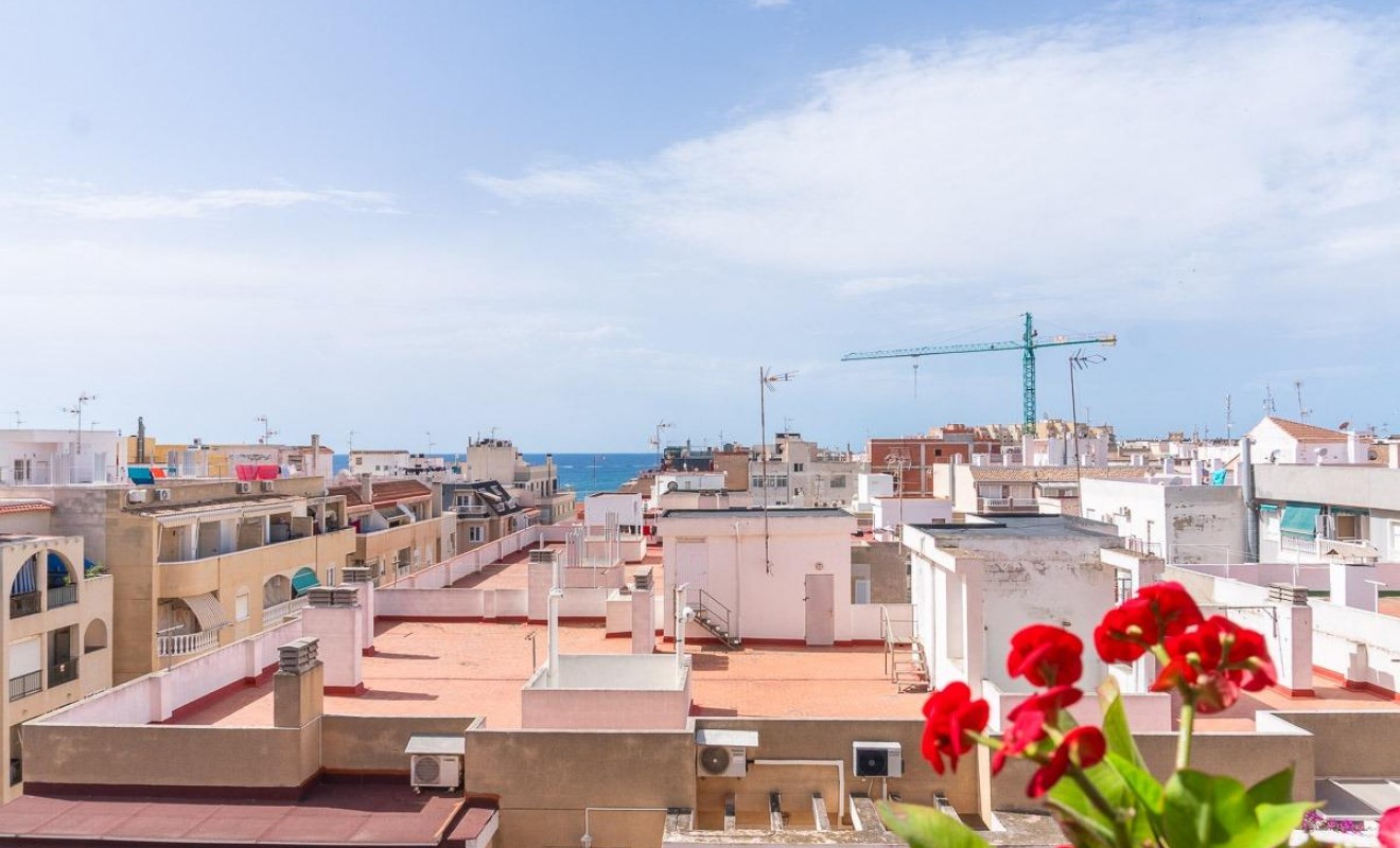 Wederverkoop - Appartement - Torrevieja - Curva del Palangre