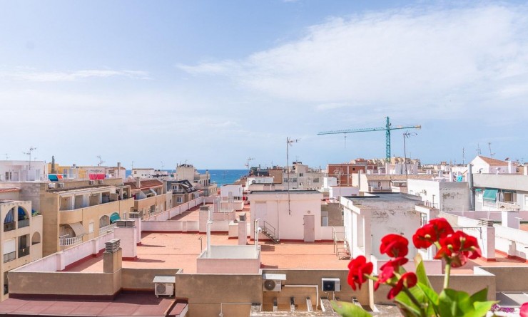Wederverkoop - Appartement - Torrevieja - Curva del Palangre