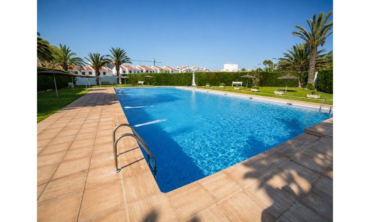 Wederverkoop - Terraced house / Townhouse - Torrevieja - Torrevieja - Aguas Nuevas