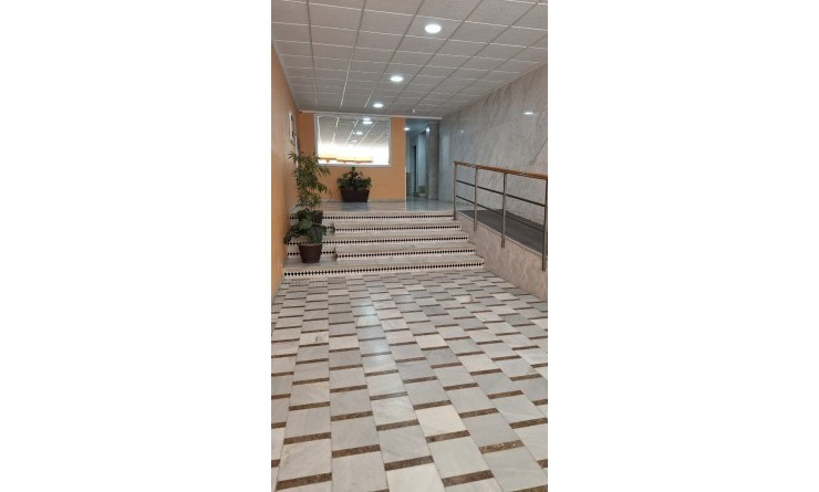 Sale - Apartment - Torrevieja - Playa Acequion