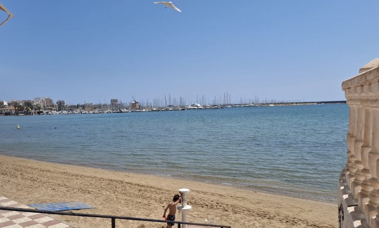 Sale - Apartment - Torrevieja - Playa Acequion