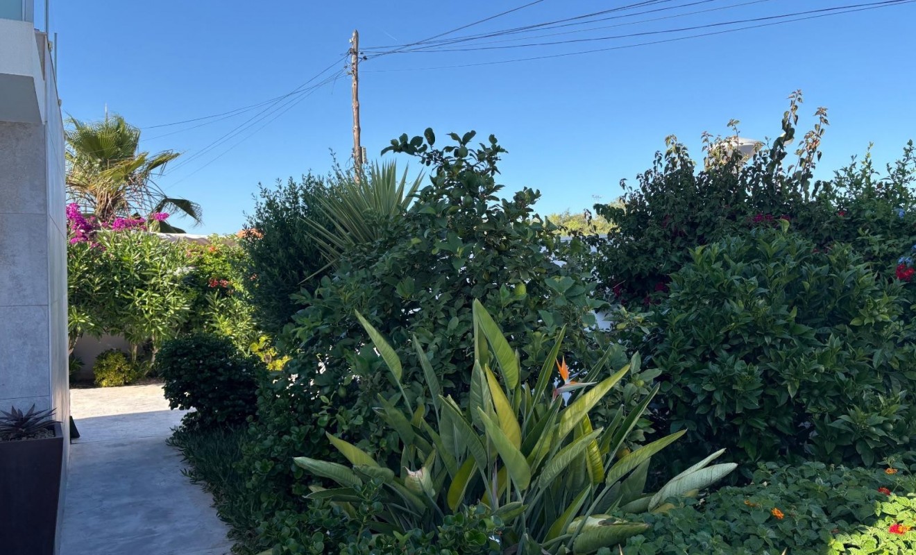 Wederverkoop - Villa - Torrevieja - La Siesta - El Salado -  Torreta