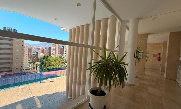 Wederverkoop - Apartment / flat - Benidorm - Rincón de Loix