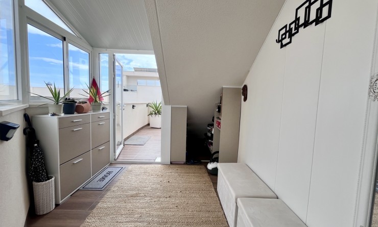 Sale - Apartment - San Miguel de Salinas