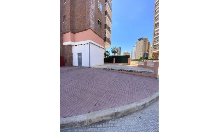 Wederverkoop - Local - Benidorm - Levante