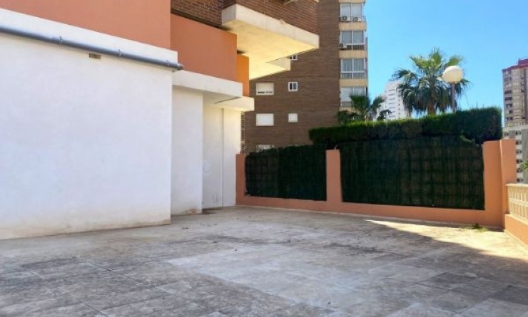 Wederverkoop - Local - Benidorm - Levante