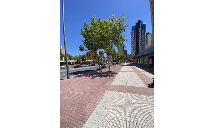 Wederverkoop - Local - Benidorm - Levante