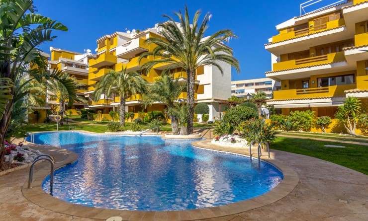 Wederverkoop - Appartement - Torrevieja - Punta prima