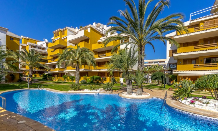 Wederverkoop - Appartement - Torrevieja - Punta prima