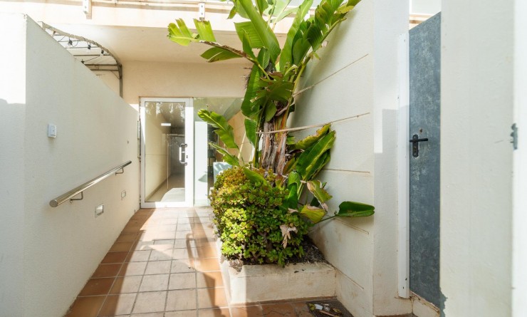 Wederverkoop - Appartement - Guardamar del Segura - Puerto Deportivo
