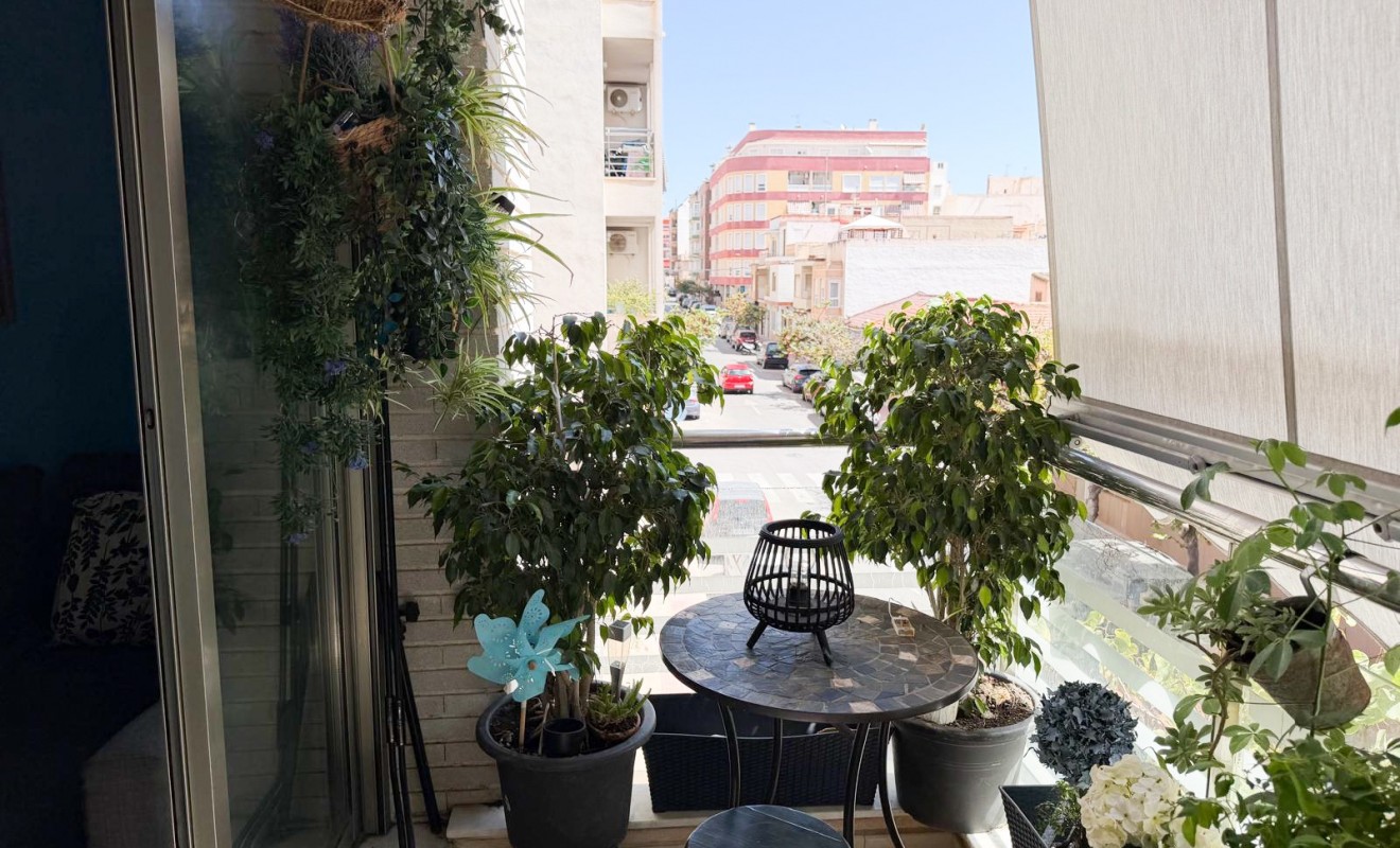 Wederverkoop - Apartment / flat - Torrevieja - Centro